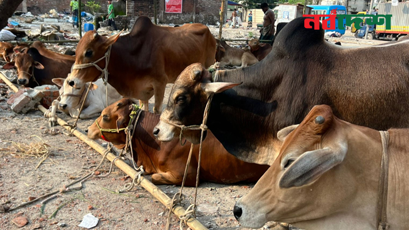 সারাদেশে উদযাপিত হল ঈদুল আজহা